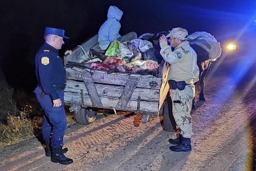 Trasladaban dos cuartos traseros de carpincho y dos carpinchos eviscerados. Trasladaban dos cuartos traseros de carpincho y dos carpinchos eviscerados.