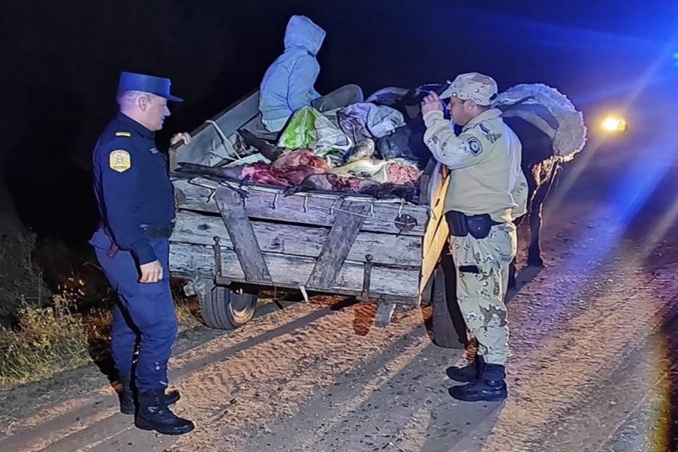 Interceptan en un camino rural un carro con restos de fauna silvestre