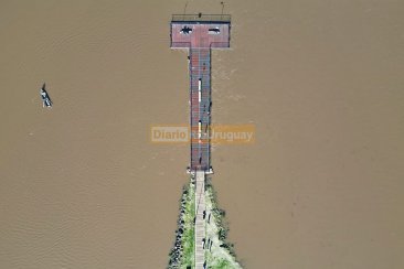 El ex lavadero de jaula con el agua cubriendo toda su base. El ex lavadero de jaula con el agua cubriendo toda su base.
