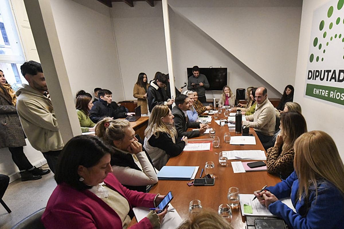 Los diputados reunidos en comisión.