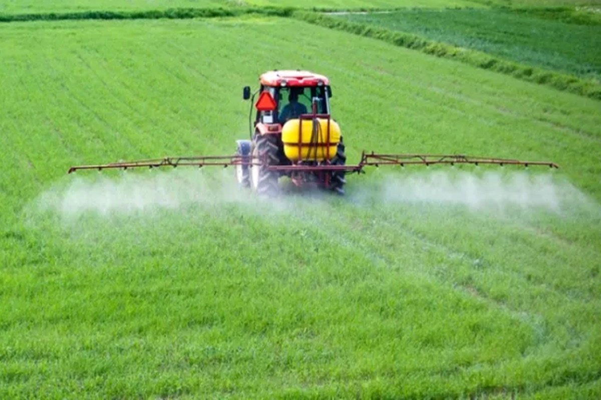 La misma fue establecida mediante Resolución provincial.