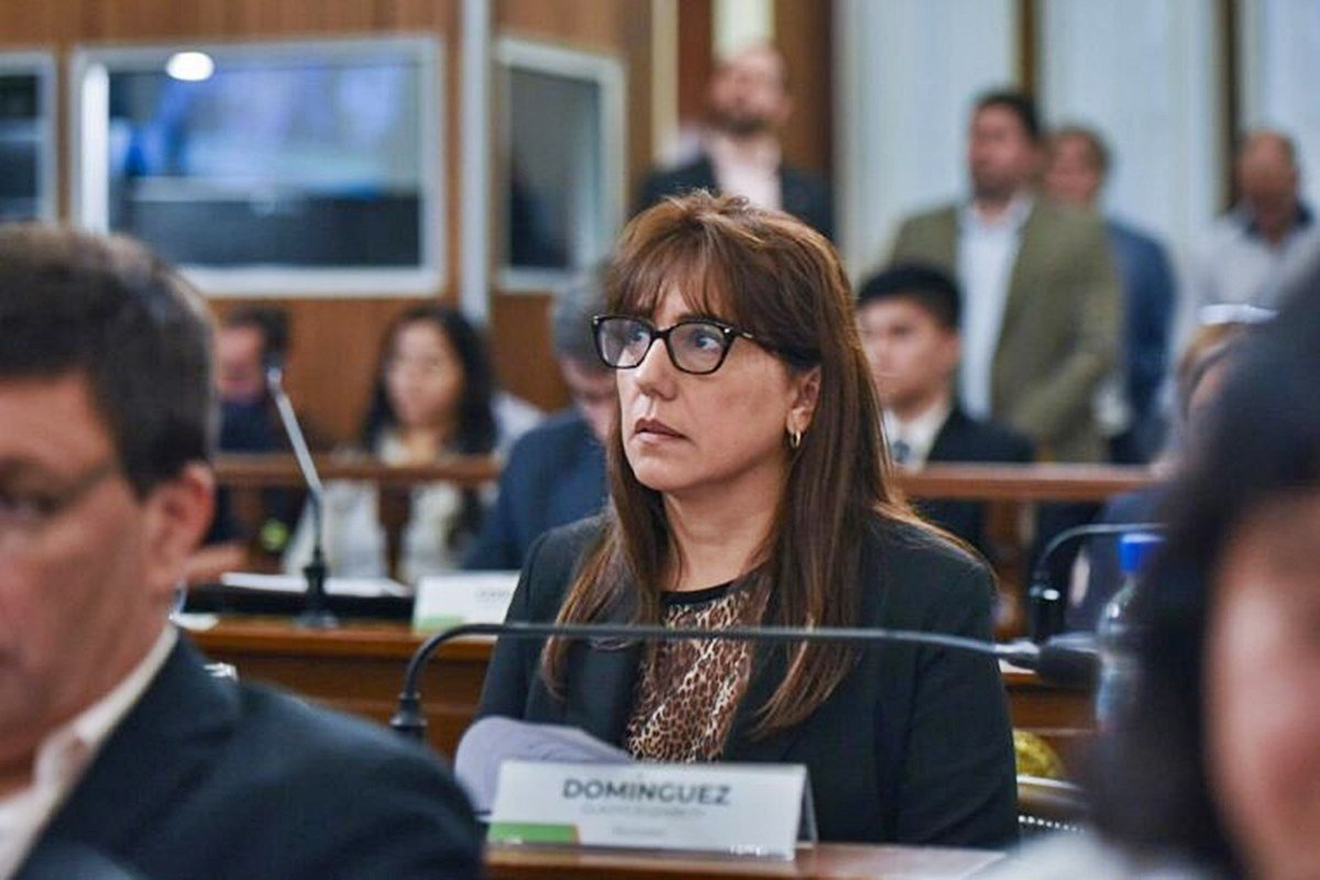 Se partió el bloque opositor en la Cámara alta provincial.