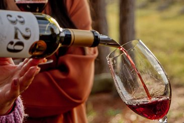 Un brindis bajo el cielo celeste y blanco de Finca Fenix Un brindis bajo el cielo celeste y blanco de Finca Fenix