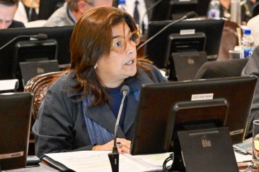 Diputada provincial Mariel Ávila Diputada provincial Mariel Ávila