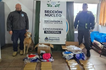 Hay dos detenidos, un prófugo y múltiples personas individualizadas. Hay dos detenidos, un prófugo y múltiples personas individualizadas.