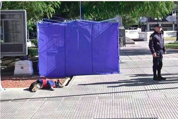 El hombtre dormia en la plaza prioncipal de Paraná. El hombtre dormia en la plaza prioncipal de Paraná.