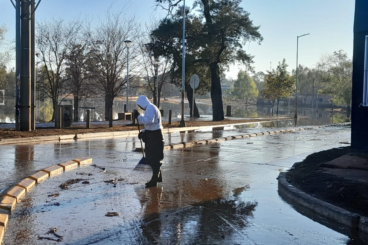Se procede a la limpieza tras la bajante del río. Se procede a la limpieza tras la bajante del río.