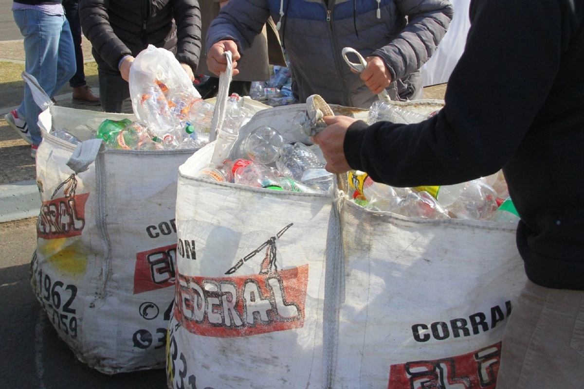 La recolección se dio en distintos puntos de Entre Ríos. La recolección se dio en distintos puntos de Entre Ríos.