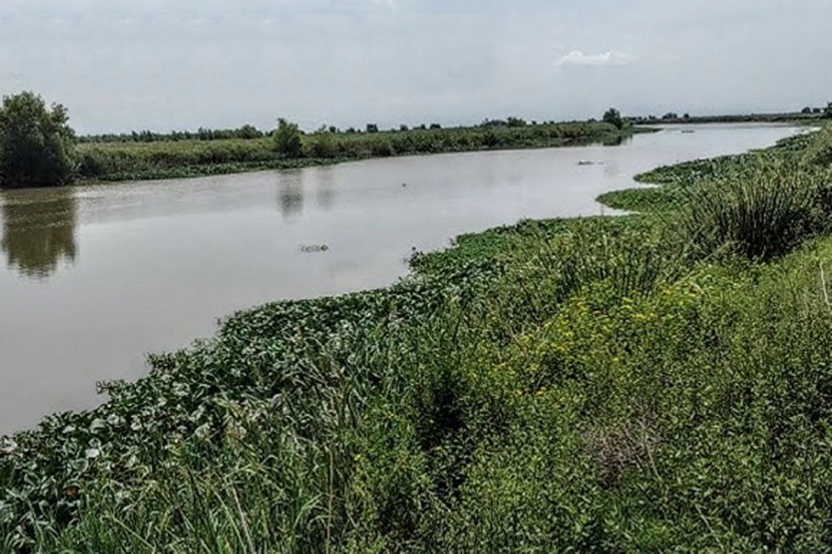 Las tierras se ubican frente a la ciudad de San Pedro (Buenos Aires) Las tierras se ubican frente a la ciudad de San Pedro (Buenos Aires)