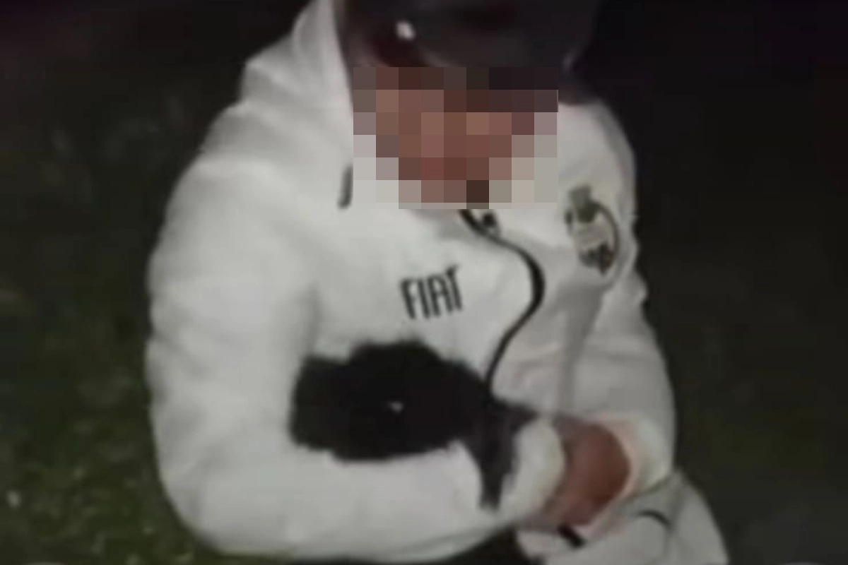 El animal logró sobrevivir al ataque pero sufrió diversas lesiones. El animal logró sobrevivir al ataque pero sufrió diversas lesiones.
