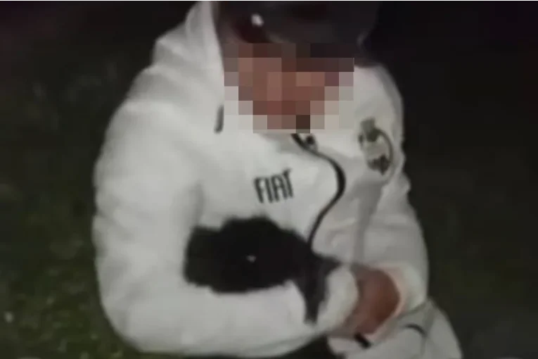 Denunciaron a dos jóvenes por maltratar y torturar a un animal | Diario ...