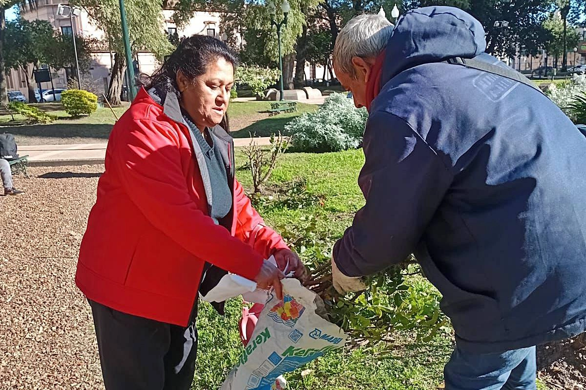 Los vecinos se llevaron los ramos de rosas Los vecinos se llevaron los ramos de rosas