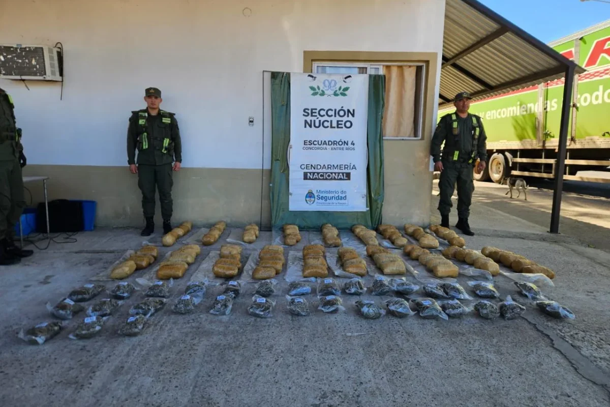 Fue fundamental la estrategia instrumentada por la Justicia y Gendarmería. Fue fundamental la estrategia instrumentada por la Justicia y Gendarmería.