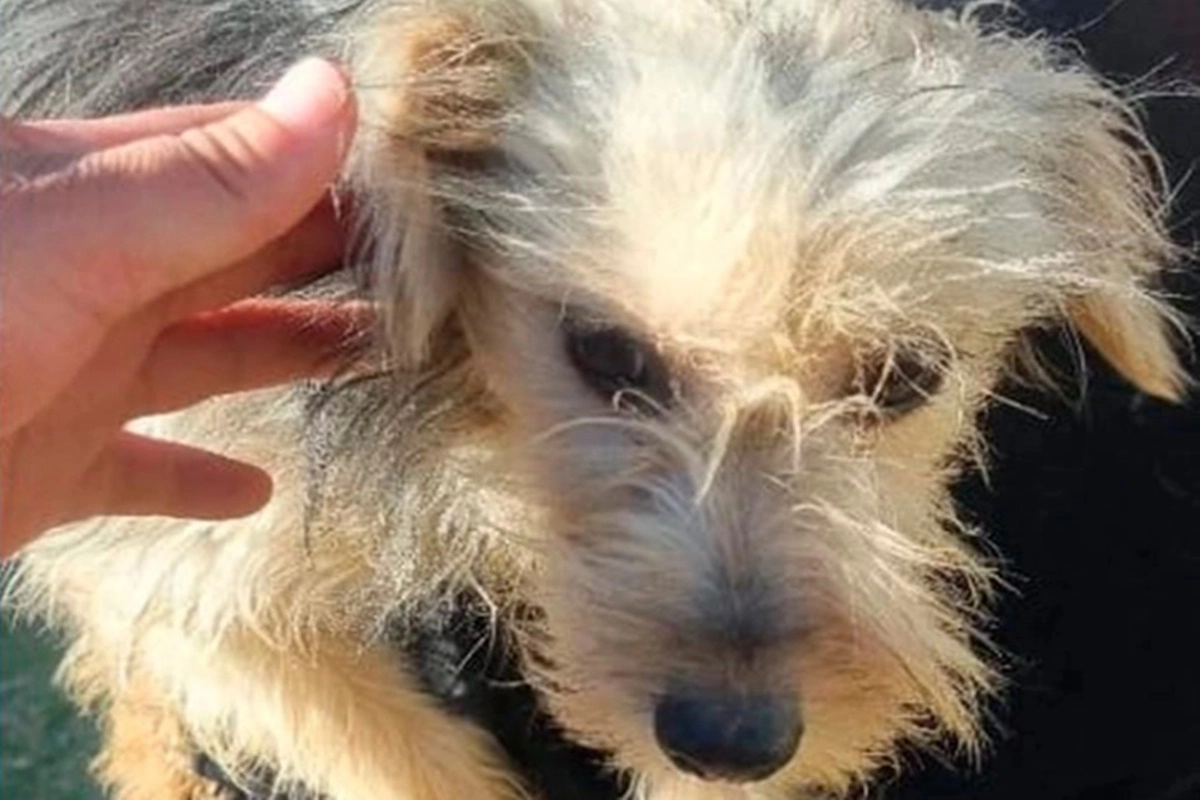 Jornada proteccionista, en Concordia.