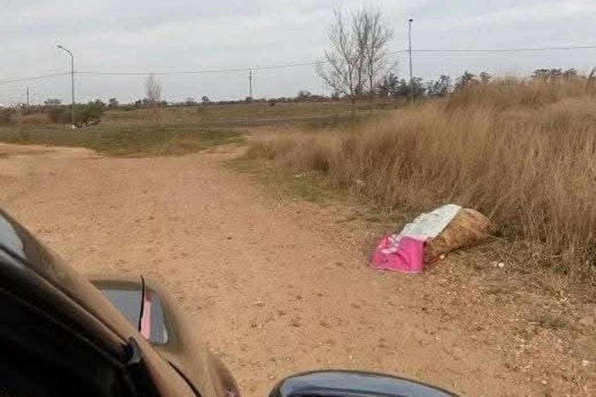 Vecinos registraron animales muertos en el ingreso a su barrio. Vecinos registraron animales muertos en el ingreso a su barrio.
