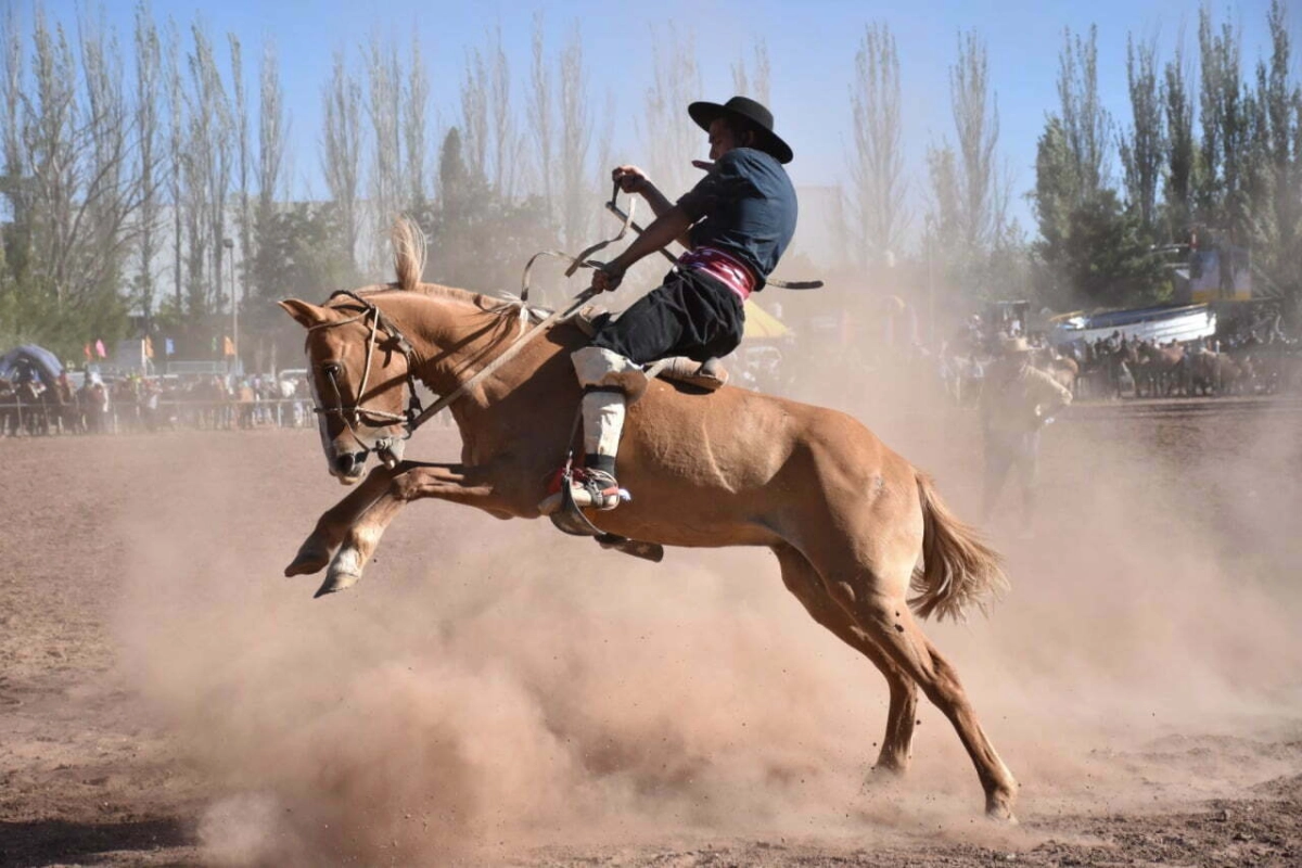 El pedido buscaba suspender un festival de la región. El pedido buscaba suspender un festival de la región.
