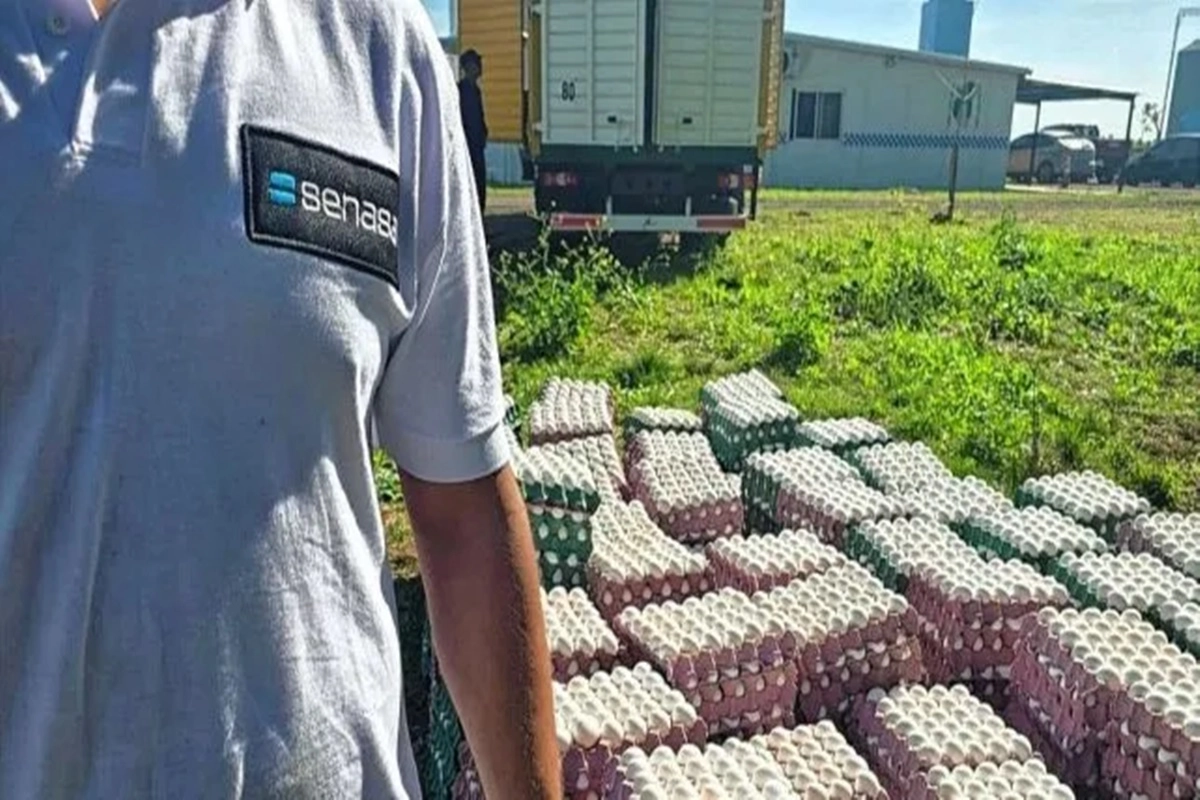 La mercadería era trasladada en un vehículo tipo chasis con cabina. La mercadería era trasladada en un vehículo tipo chasis con cabina.