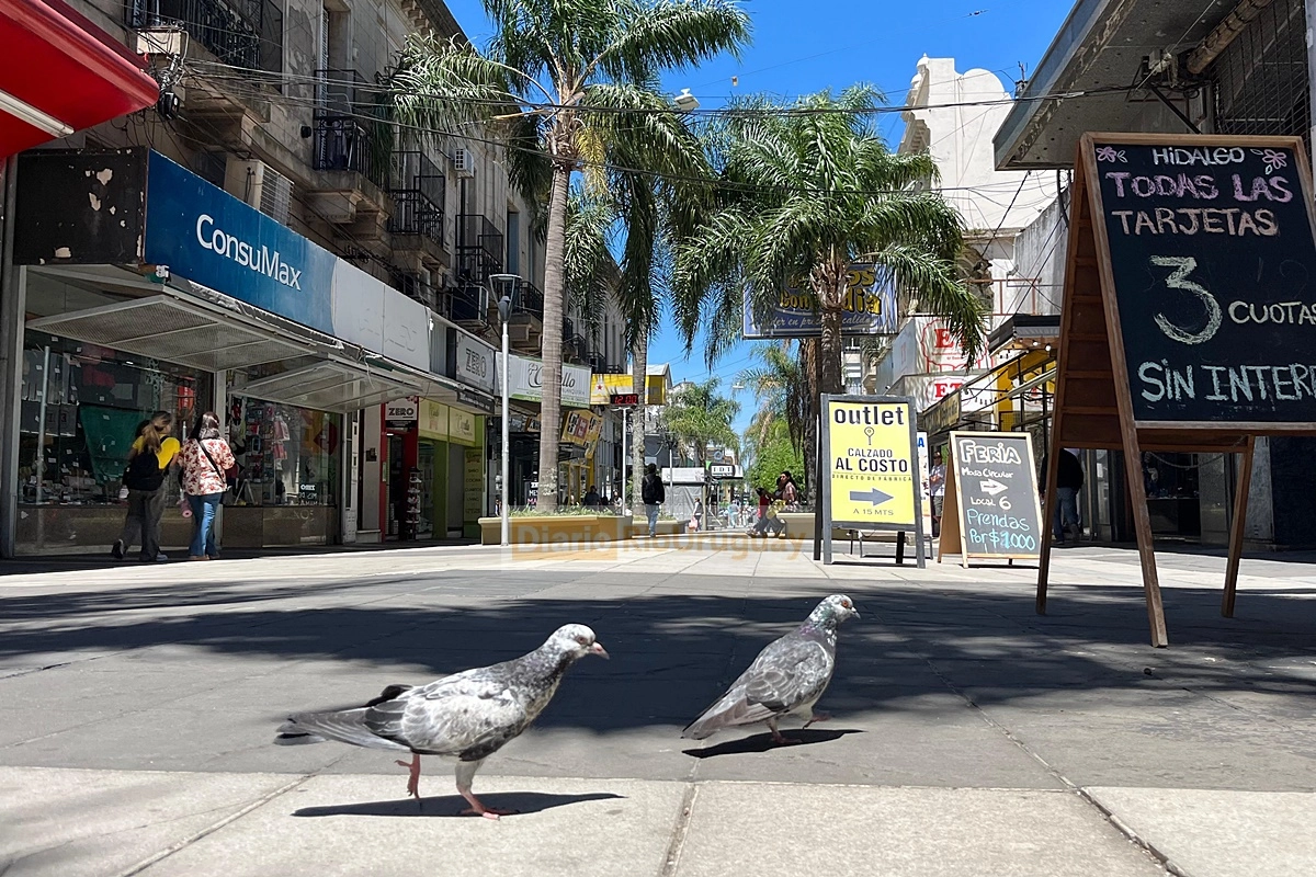 El sector comercial se enfrenta a "ventas por el piso". El sector comercial se enfrenta a "ventas por el piso".