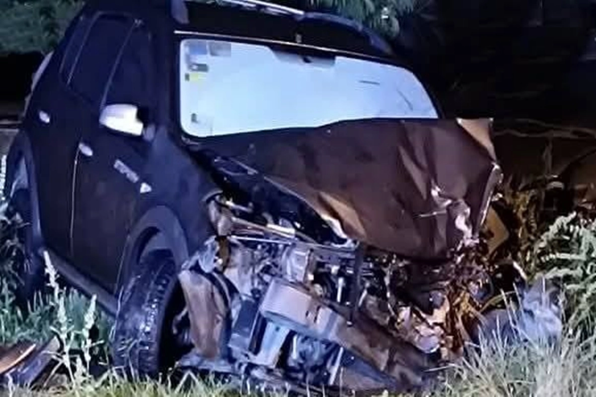 Otros dos pasajeros fueron hospitalizados y están recibiendo la atención médica. Otros dos pasajeros fueron hospitalizados y están recibiendo la atención médica.