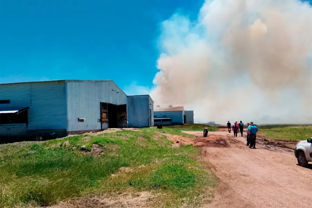 El hecho habría comenzado por un desperfecto eléctrico.