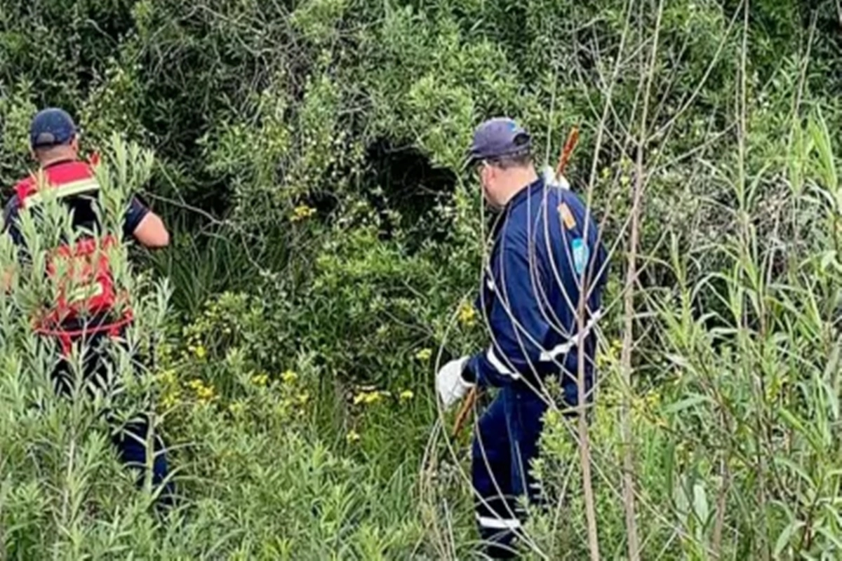 Se cerró así la identificación que permite avanzar en el caso.