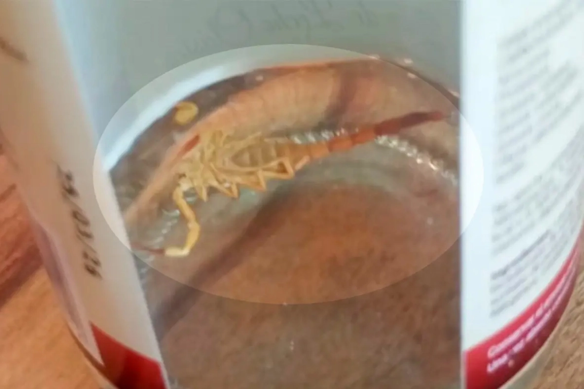 Todo ocurrió en Gualeguaychú.