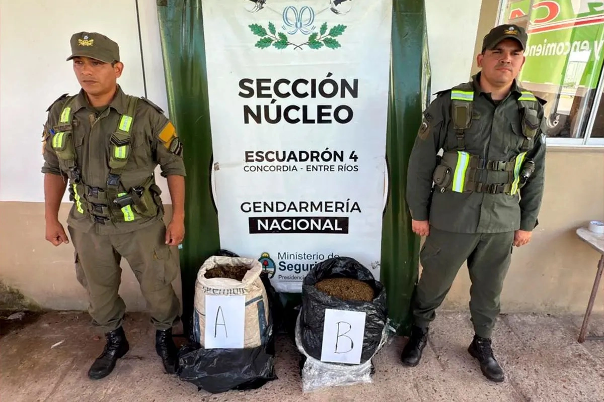 El operativo fue ordenado por el Juzgado Federal local.