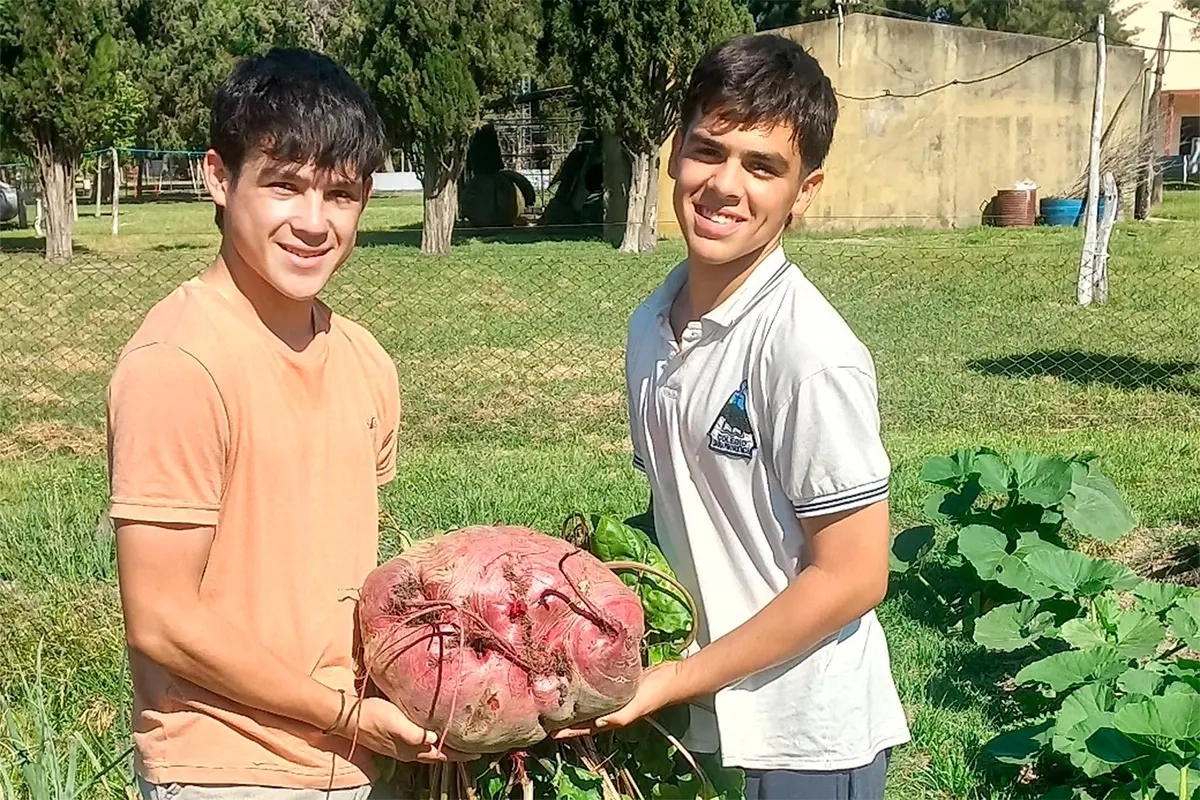 El inesperado hallazgo generó emoción y orgullo en toda la comunidad educativa.