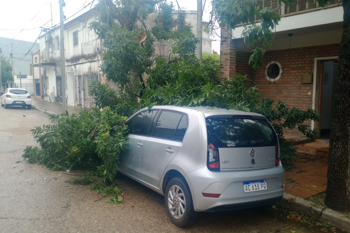 Daños materiales en el rodado.