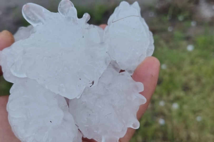 La particular forma de las piedras llam&oacute; la atenci&oacute;n.