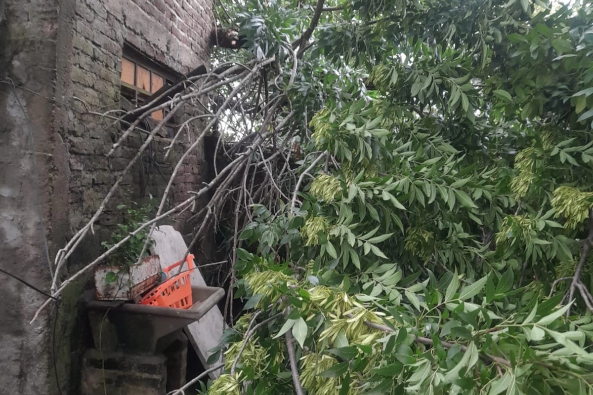 Secuelas del temporal en Concordia.