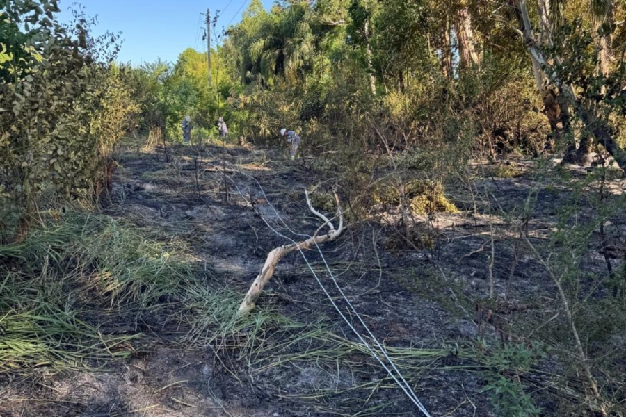 Los trabajos continuaron hasta el mediod&iacute;a de este lunes.