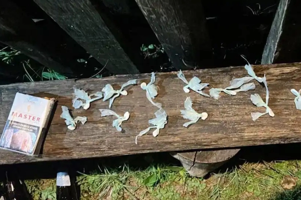 La billetera conten&iacute;a 14 envoltorios con coca&iacute;na.