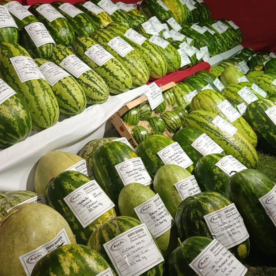 La Expo Sandía es la atracción de la fiesta.