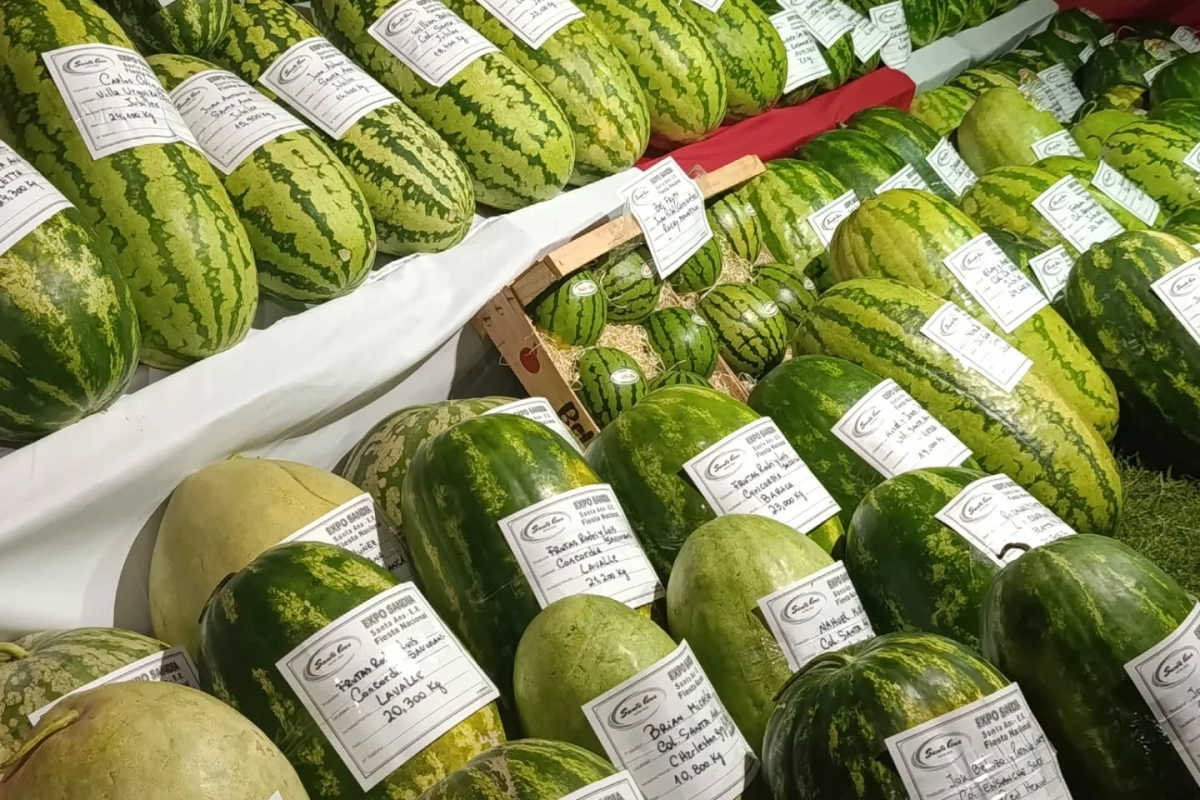 La organizaci&oacute;n hizo un balance del evento.