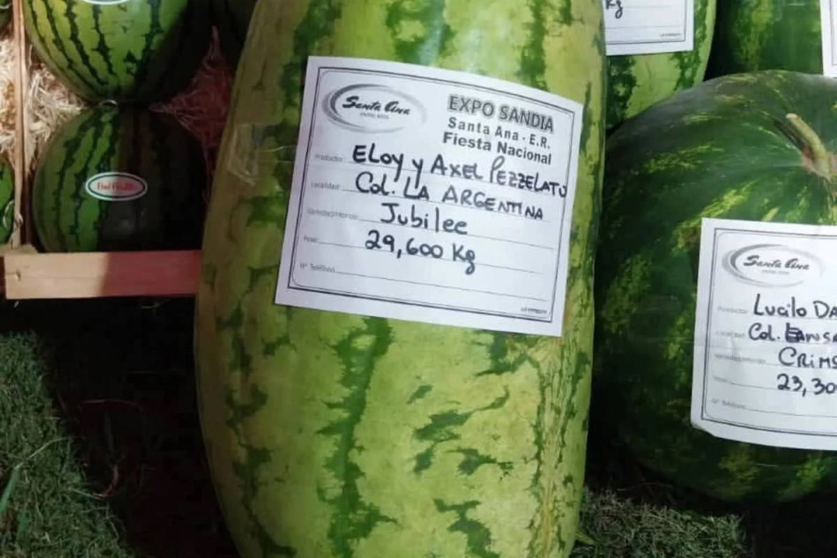 La organizaci&oacute;n hizo un balance del evento.