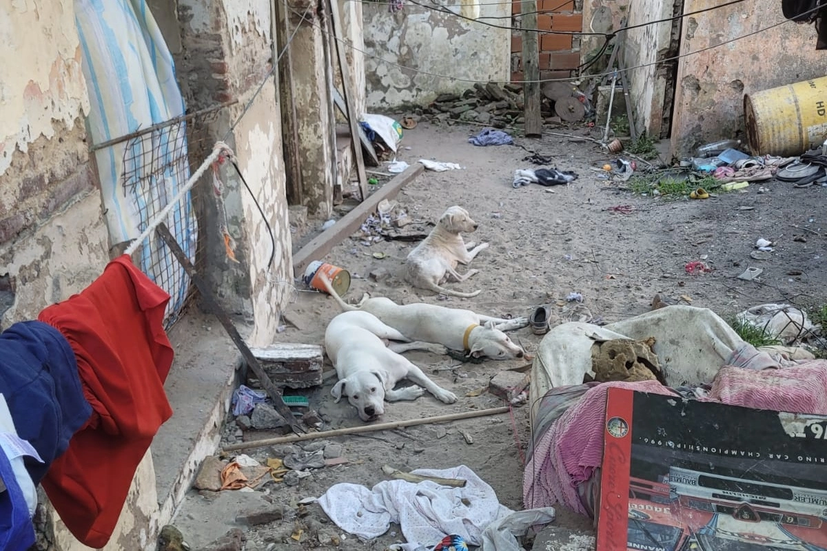 Recordaron la importancia de denunciar este tipo de situaciones.