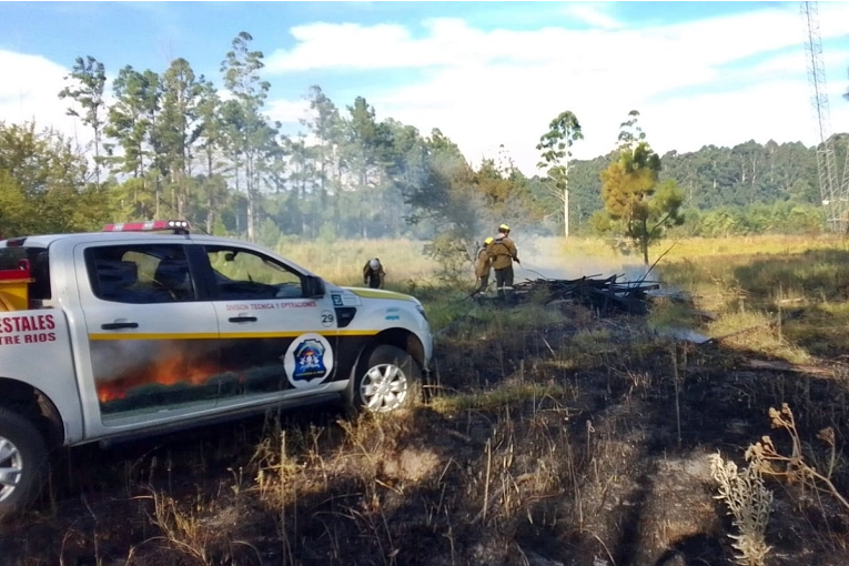 Dos días de incendios forestales en la zona norte de Concordia y desde bomberos se apunta a fuego intencional