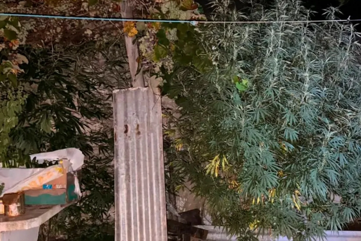 La polic&iacute;a secuestr&oacute; casi 6 kilos de marihuana.