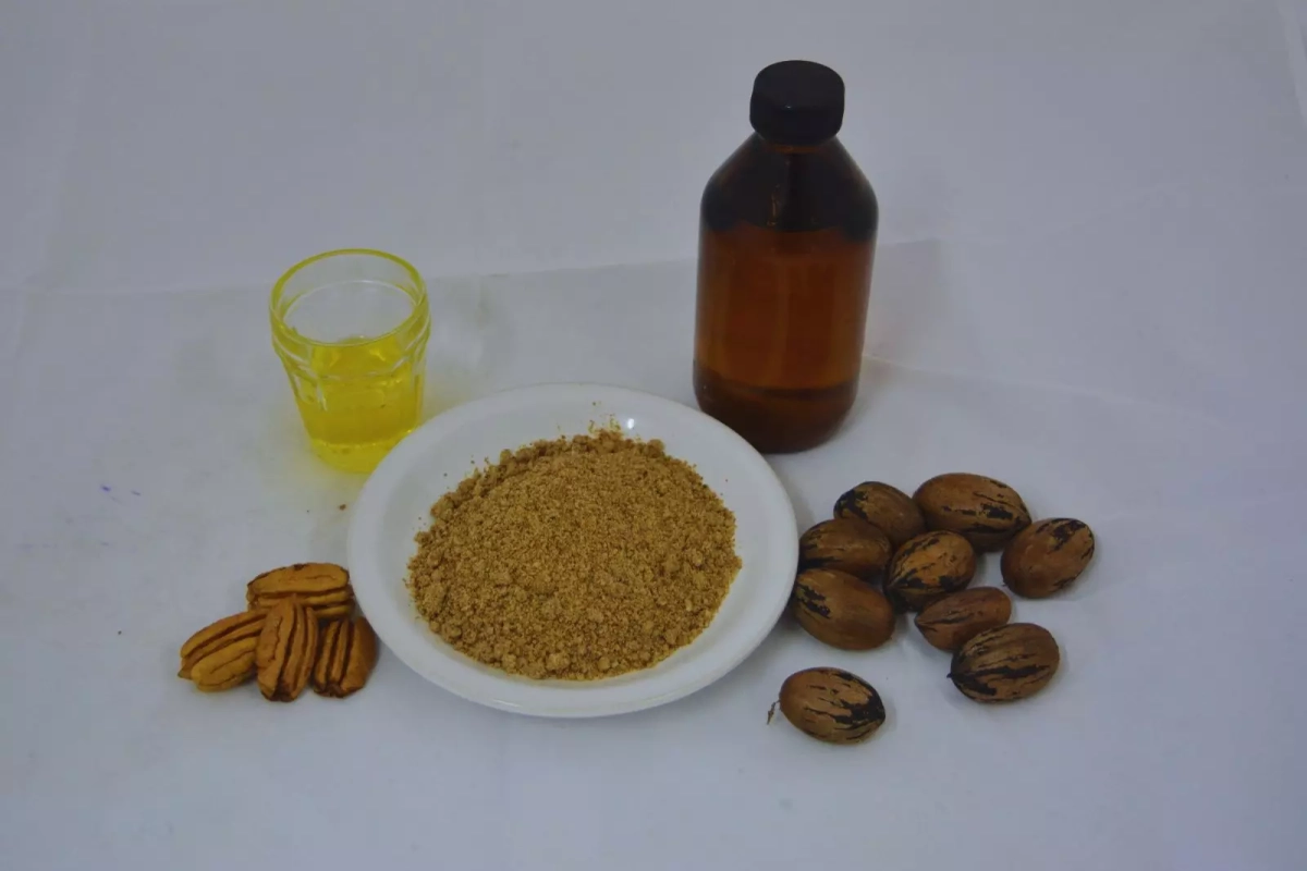 Nuevos derivados de la nuez pec&aacute;n fueron incluidos en el C&oacute;digo Alimentario.