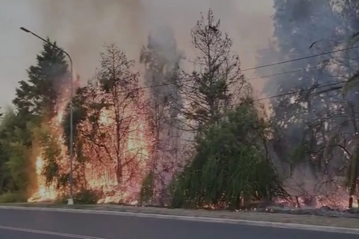 El foco &iacute;gneo afect&oacute; varios metros sobre Monse&ntilde;or Rosch.