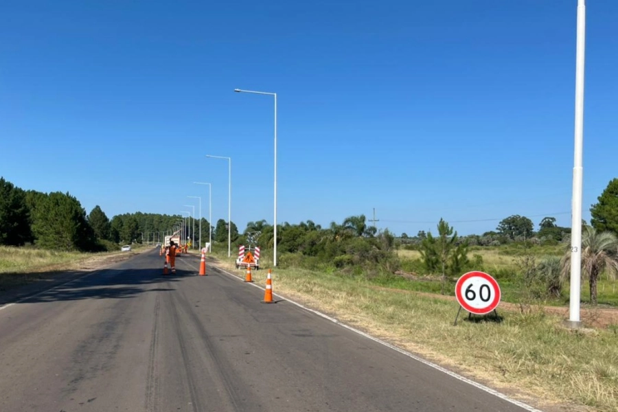 Varias cuadrillas de hombres se encuentran trabajando.