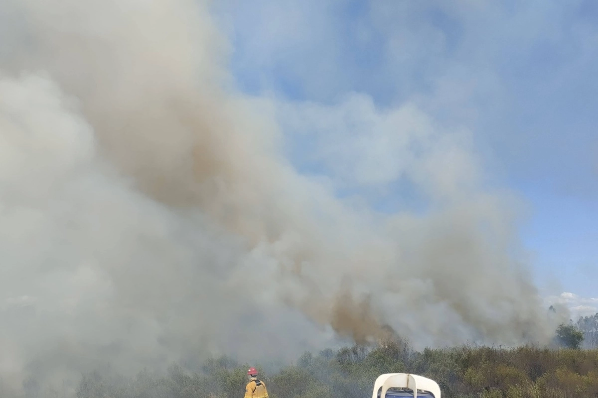 Afortunadamente, no se registraron personas lesionadas ni da&ntilde;os materiales en viviendas.