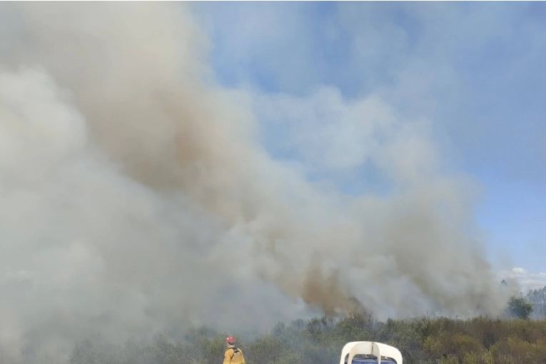 Bomberos sofocaron un incendio forestal que se expandió por varias hectáreas en la región