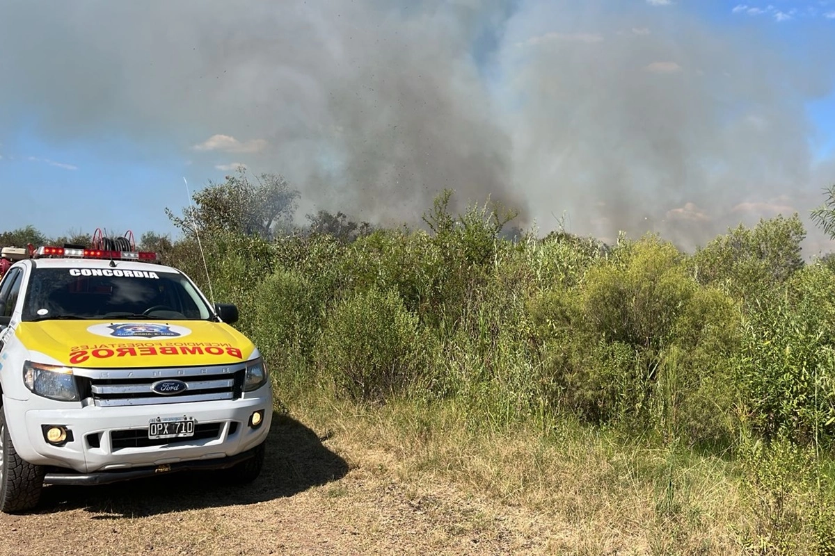 Hay alguna producci&oacute;n afectada pero mayormente se incendi&oacute; pastizales y malezas.