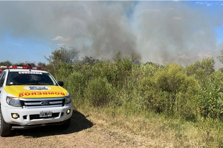 Bomberos, vecinos y productores combaten un incendio al sur de Concordia