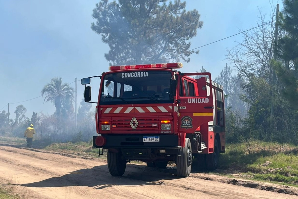 El tr&aacute;nsito debi&oacute; ser interrumpido por la baja visibilidad.