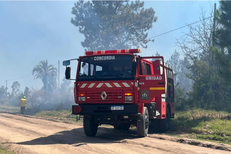 Un incendio forestal de gran magnitud obligó a cortar un acceso clave a Concordia