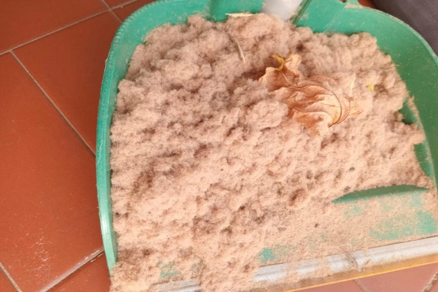 Los residuos que se presentan en este sector de Concordia.