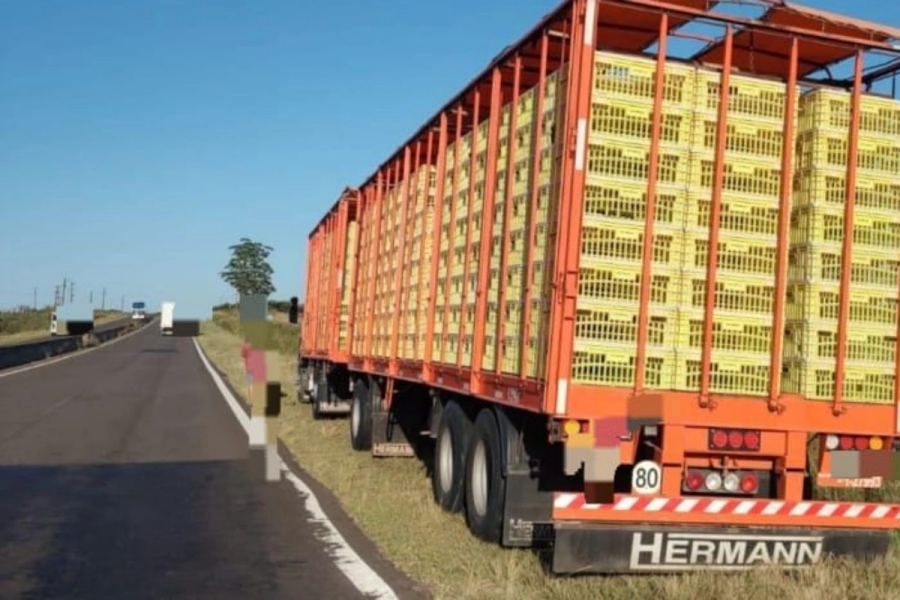 La camioneta habr&iacute;a impactado el lateral del acoplado.